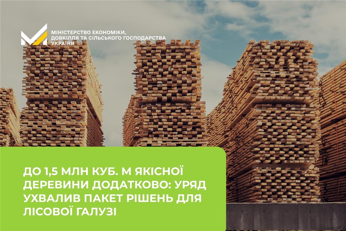 До 1,5 млн куб. м якісної деревини щороку додатково для переробки: Уряд ухвалив пакет рішень для лісової галузі